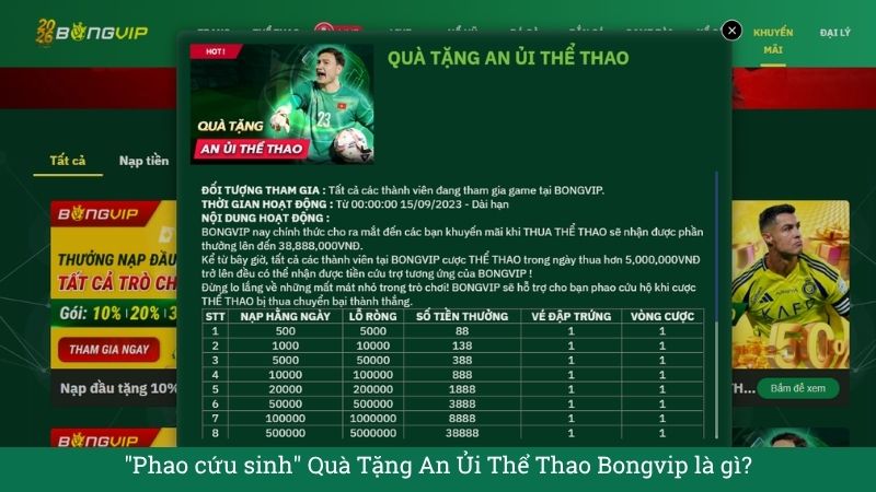 Khuyến Mãi Quà Tặng An Ủi Thể Thao Bongvip – Cứu Trợ Thua Cược Lên Đến 38 Triệu Đồng