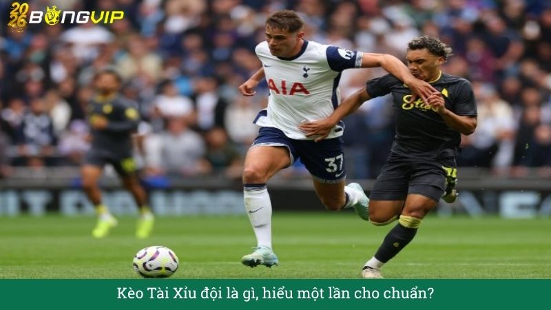 Giải mã Kèo Tài Xỉu đội – Đọc đúng, ăn chắc