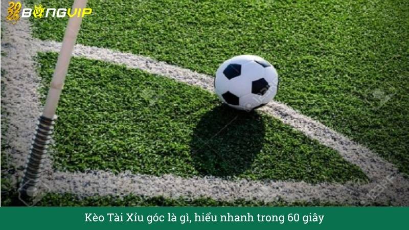 Kèo Tài Xỉu góc – Bí quyết đọc trận như dân pro