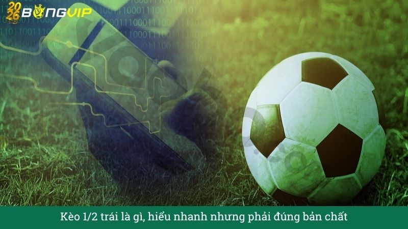 Kèo 1/2 trái – Cách đọc trận như dân soi kèo
